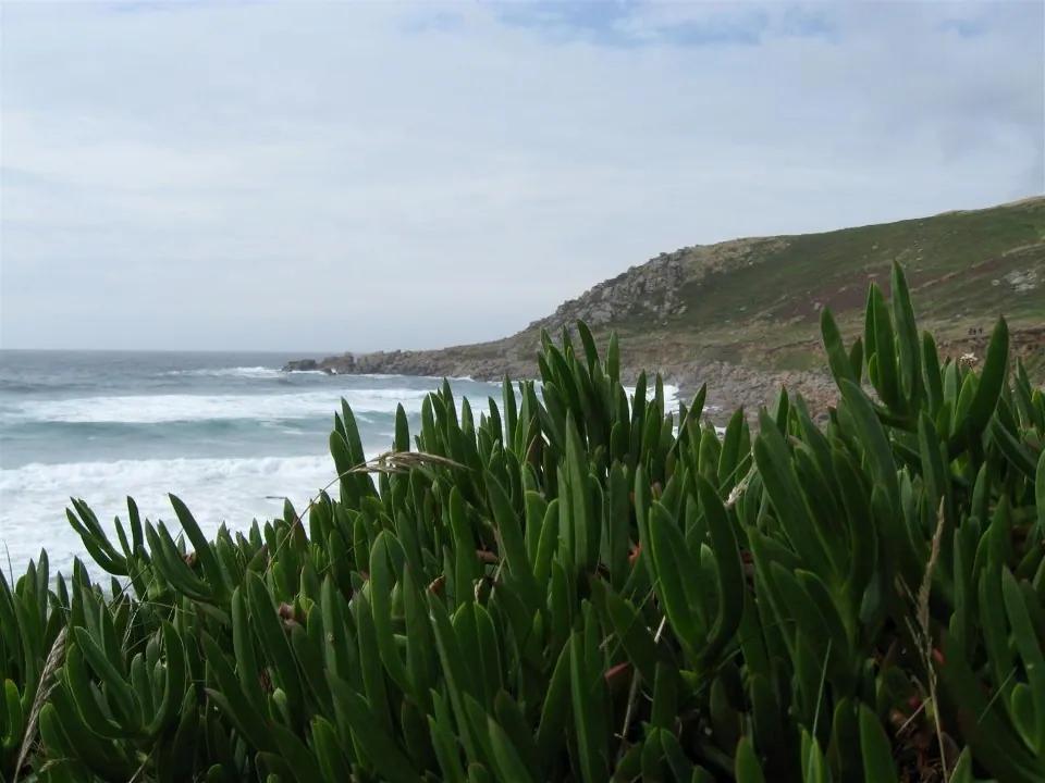 Day 3 looking towards aire point